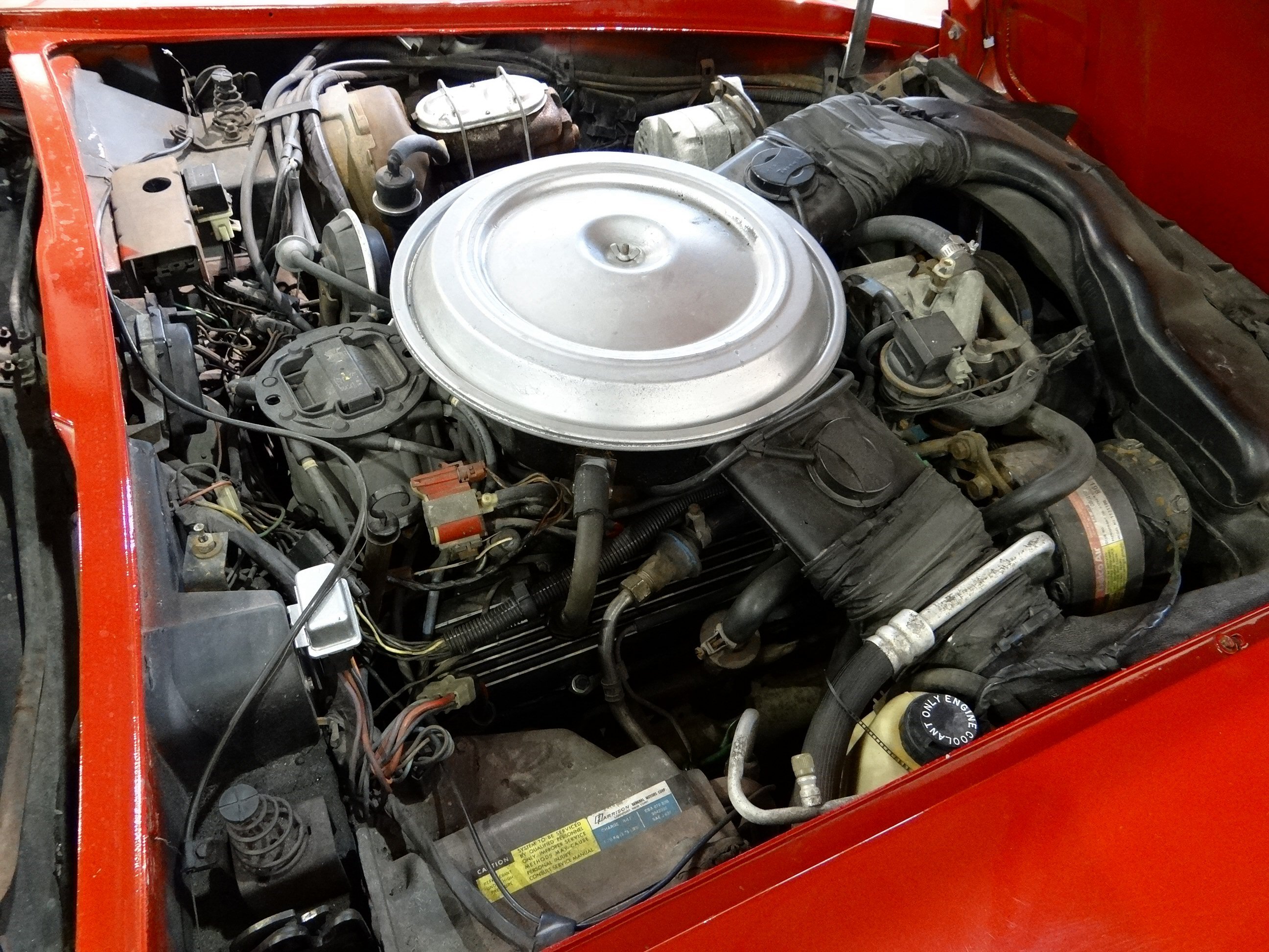 1981, Chevrolet, Corvette, Muscle, Supercar Wallpaper