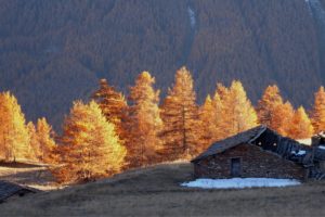 architecture, Nature, Landscapes, Trees, Mountains, Autumn, Fall