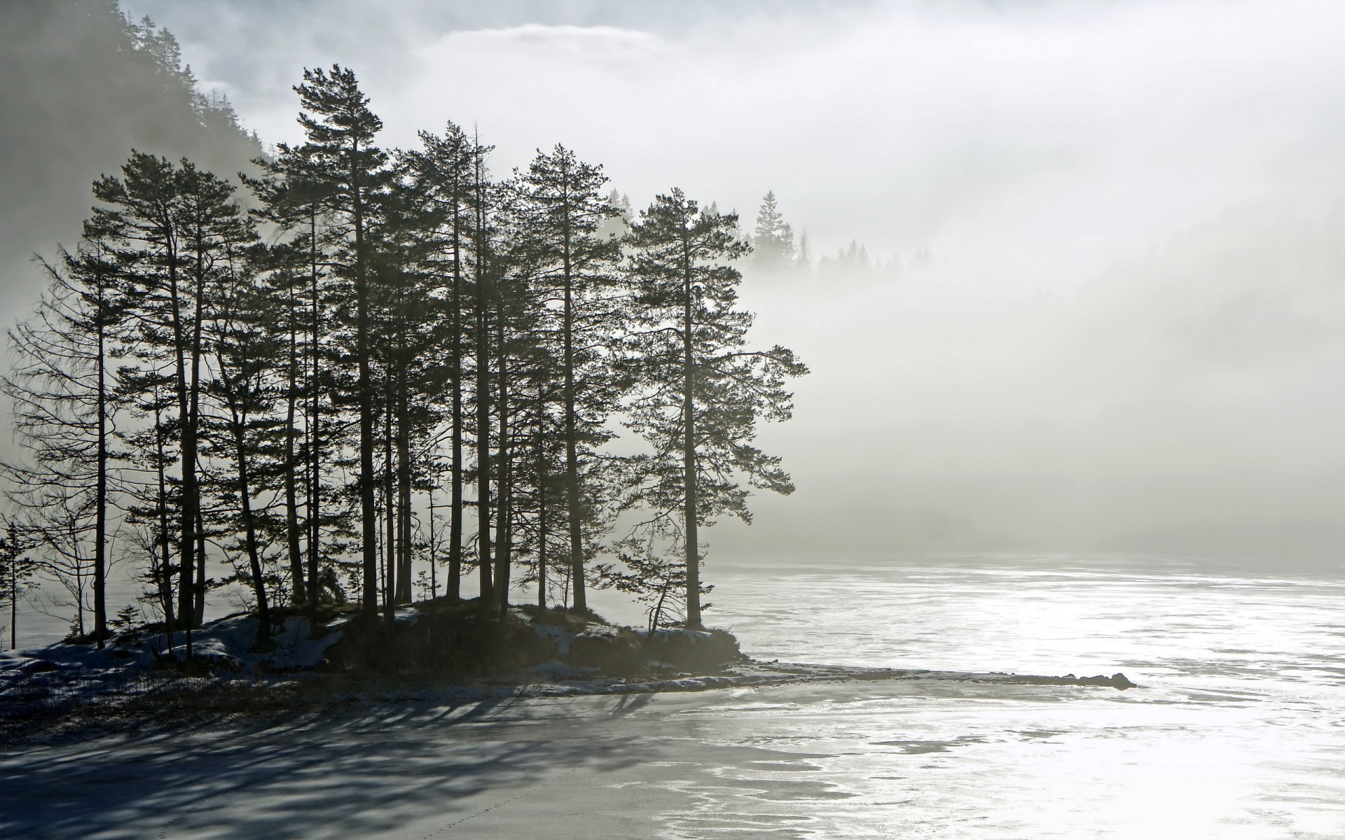 landscapes, Lakes, Islands, Trees, Forest, Woods, Fog, Mist Wallpaper