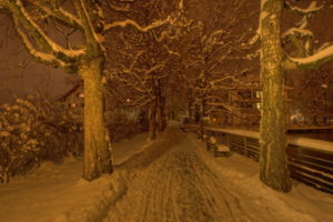 landscapes, Park, Bench, Winter, Snow, Night, Trees, Roads, Path, Trail