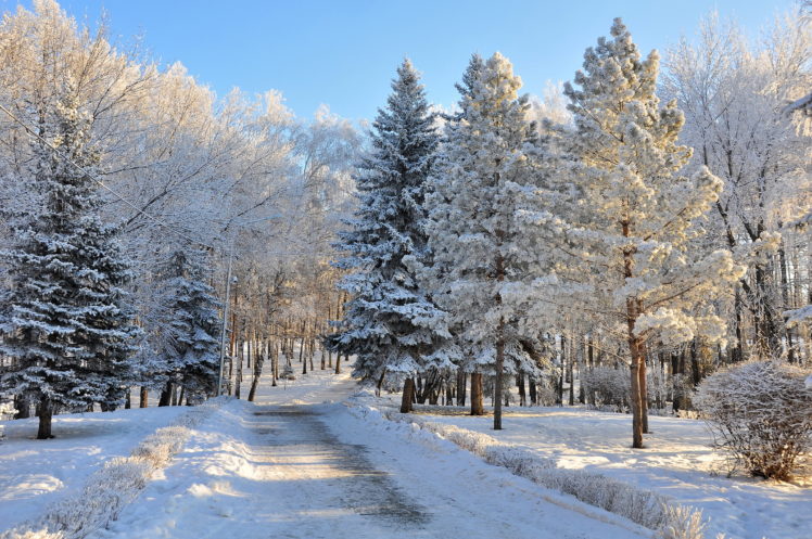 seasons, Winter, Roads, Snow, Trees, Fir, Forest, Roads HD Wallpaper Desktop Background