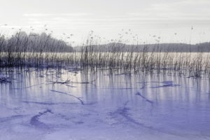 nature, Landscapes, Lakes, Ice, Grass, Reeds, Frozen, Sky, Hills