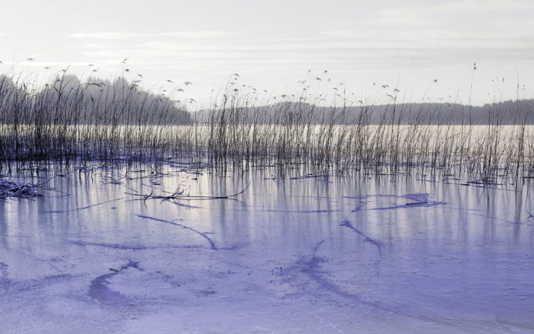 nature, Landscapes, Lakes, Ice, Grass, Reeds, Frozen, Sky, Hills HD Wallpaper Desktop Background