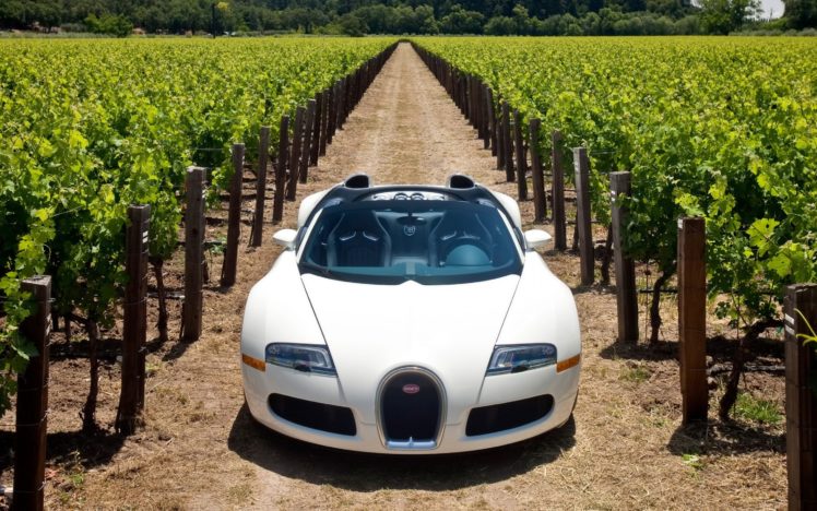 bugatti, Veyron, 164, Grand, Sport, 2010, In, Napa, Valley, Front HD Wallpaper Desktop Background