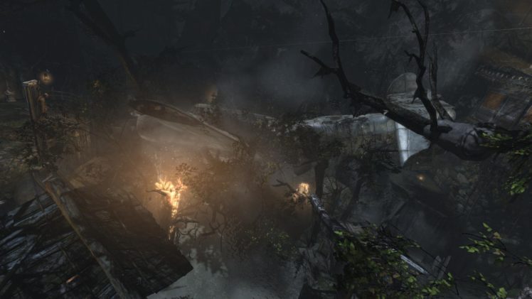 tomb, Raider, Lara, Croft, Plane, Fire, Forest HD Wallpaper Desktop Background