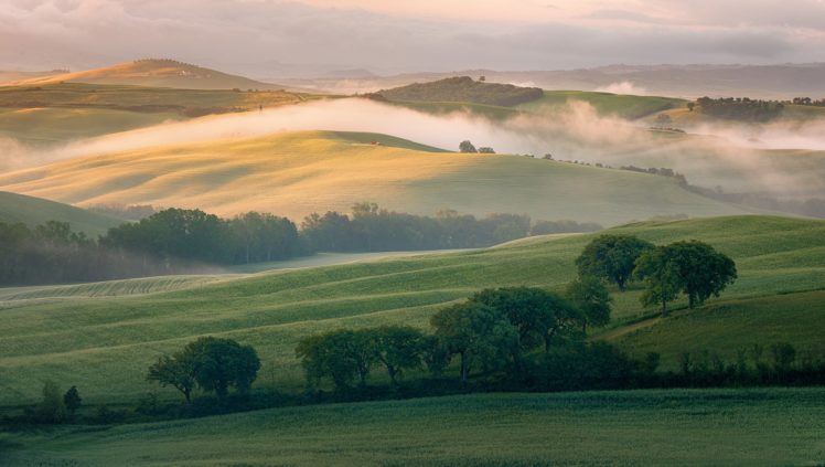 field, Italy, Morning, Hills, Tuscany HD Wallpaper Desktop Background