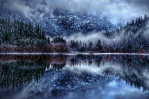 forest, Fog, Lake, Winter, Reflection