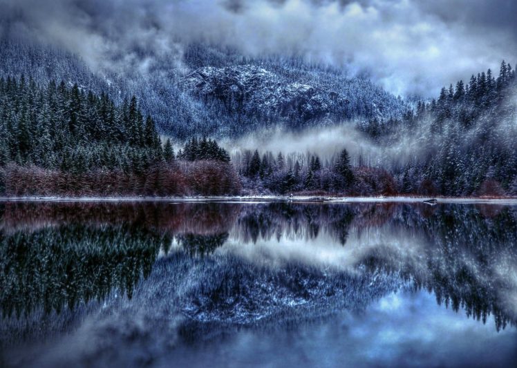 forest, Fog, Lake, Winter, Reflection HD Wallpaper Desktop Background