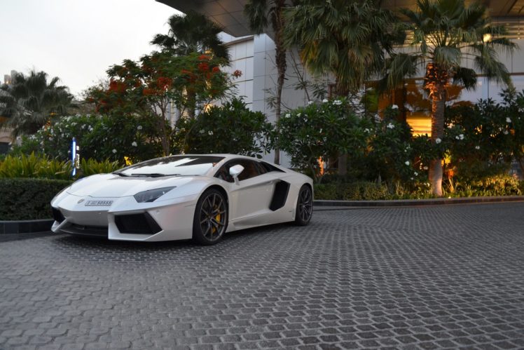 aventador, Black, Bleue, Cars, Grise, Italian, Lamborghini, Lp700, White, Blanche, Supercars HD Wallpaper Desktop Background