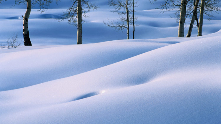nature, Landscapes, Winter, Snow, Trees HD Wallpaper Desktop Background