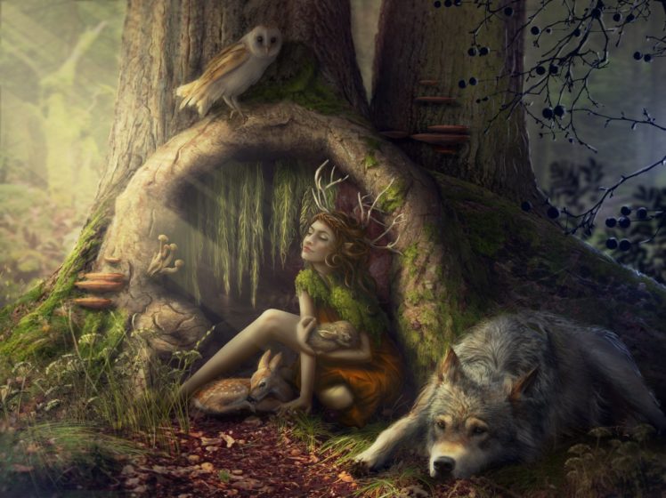 wolves, Fantastic, World, Fantasy, Girls, Wolf, Forest, Fairy, Deer HD Wallpaper Desktop Background