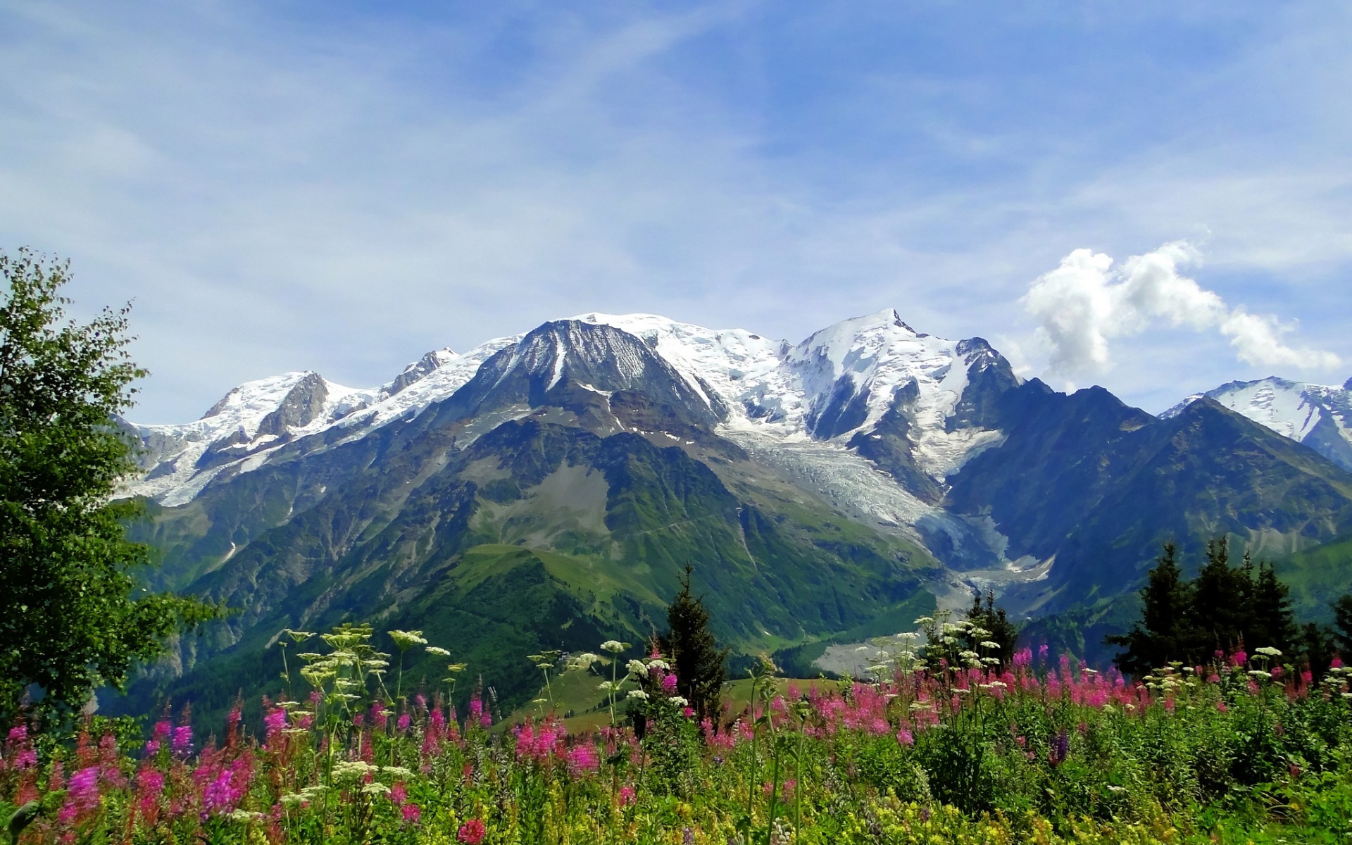 nature, Landscapes, Flowers, Meadow, Trees, Mountains, Sky, Clouds Wallpaper