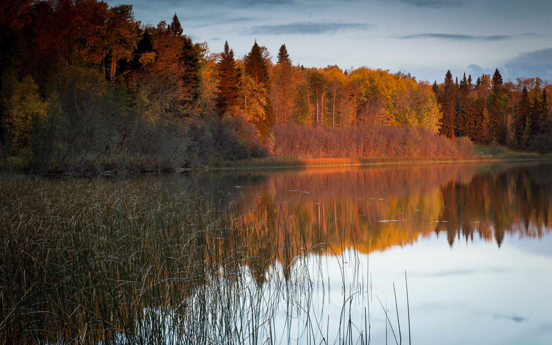 nature, Landscapes, Lakes, Reflection, Reeds, Grass, Trees, Forest, Autumn, Fall, Sky Wallpaper