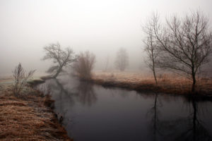 nature, Landscapes, Rivers, Stream, Trees, Fog, Mist, Dawn, Morning