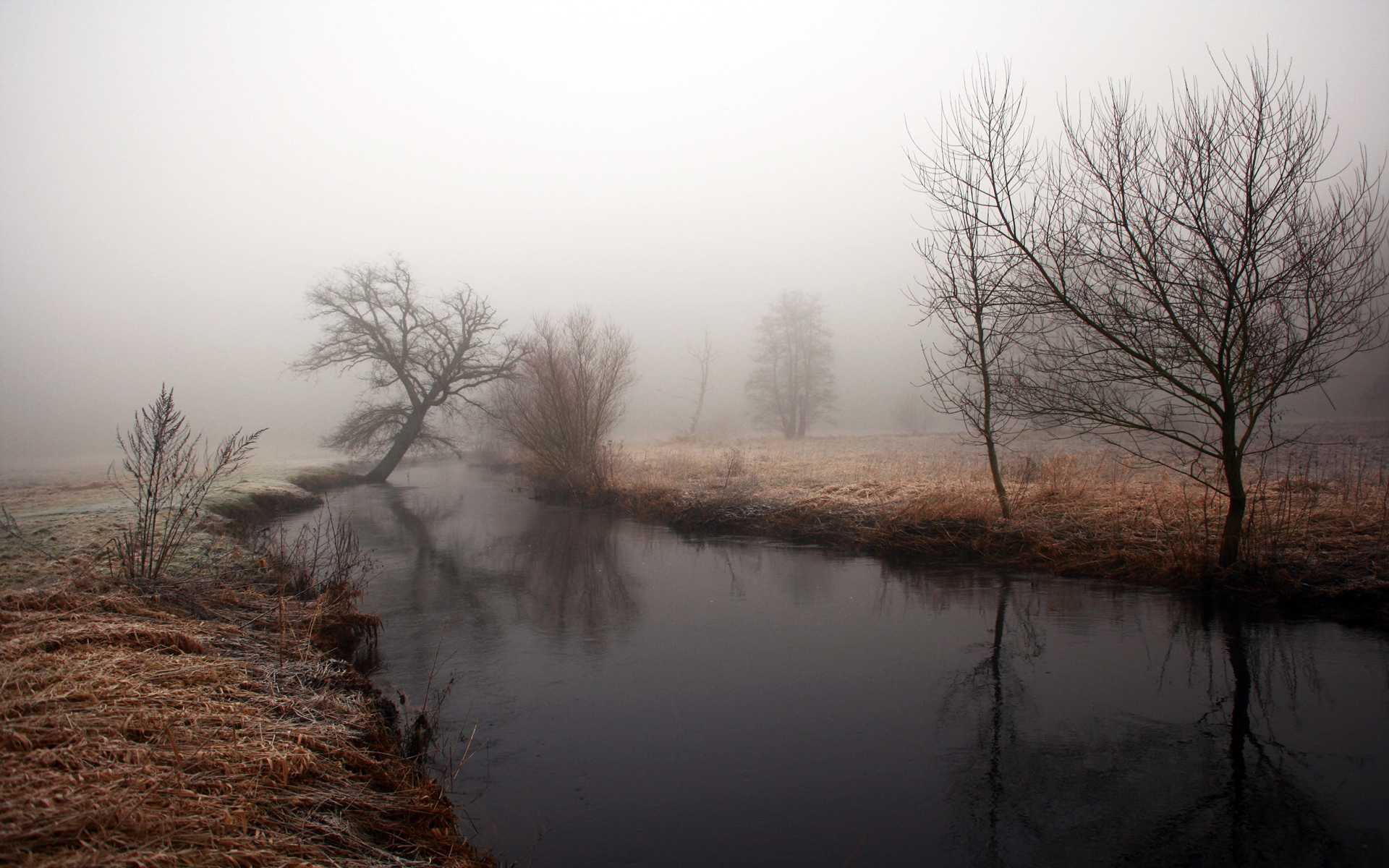 nature, Landscapes, Rivers, Stream, Trees, Fog, Mist, Dawn, Morning Wallpaper