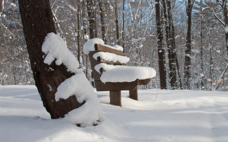 nature, Landscapes, Winter, Snow, Bench, Trees, Forest, Woods HD Wallpaper Desktop Background