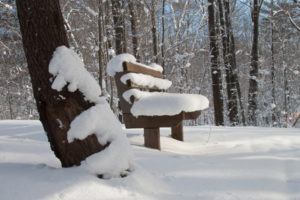 nature, Landscapes, Winter, Snow, Bench, Trees, Forest, Woods
