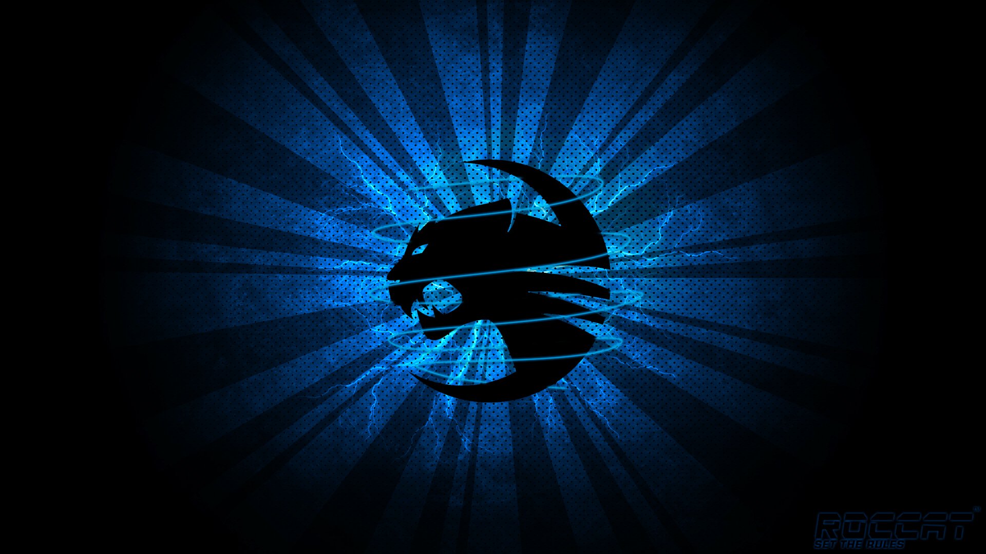 401573 Wallpaper