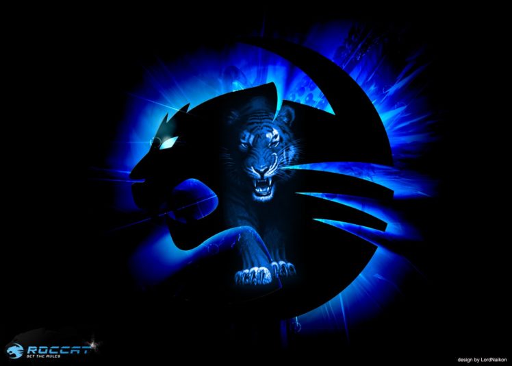 roccat, Gaming, Computer HD Wallpaper Desktop Background