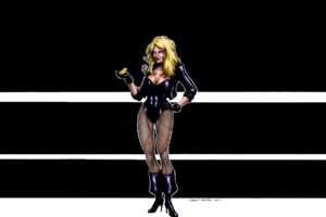 black, Canary, Dc, Comics, Blondes, Sexy, Babes, Women, Females