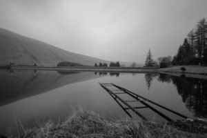dam, Black, White, Nature, Landscapes, Lakes, Water, Reflection, Sky, Trees, Grass, Shore, Beaches