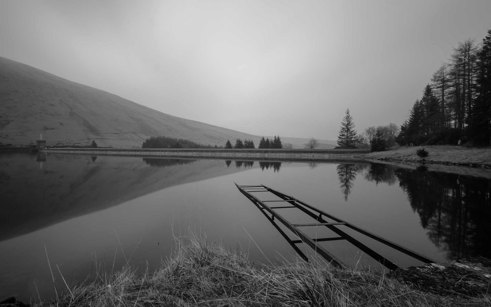 dam, Black, White, Nature, Landscapes, Lakes, Water, Reflection, Sky, Trees, Grass, Shore, Beaches Wallpaper