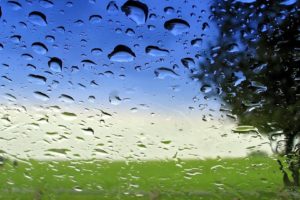 drops, Rain, Nature, Landscapes, Window, Glass, Trees, Spring, Seasons, Sky, Warer
