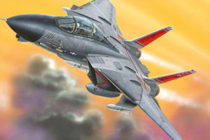 f 14, Tomcat, Fighter, Jets, Weapons, Military, Pilots, Soldiers, Warriors, Flight, Sky, Air, Force, Airplanes