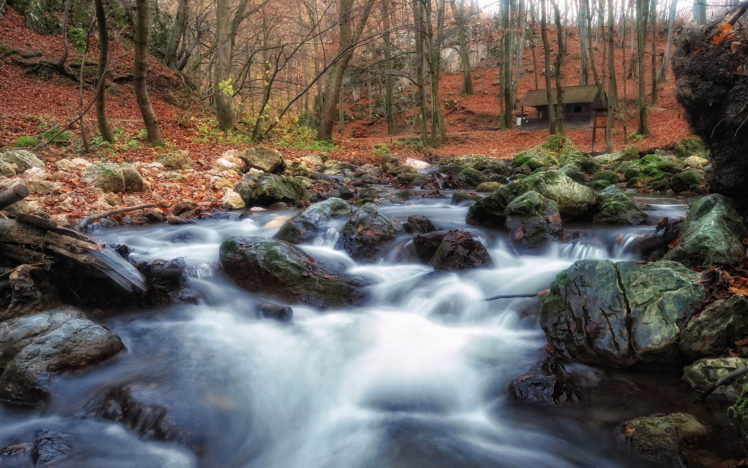 forest, Trees, Woods, Nature, Landscapes, Rivers, Waterfall, Stone, Rock, Autumn, Fall, Seasons, Leaves HD Wallpaper Desktop Background