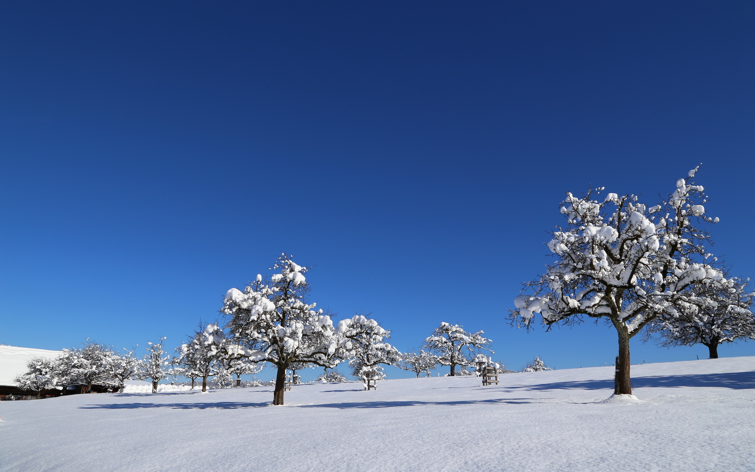 nature, Landscapes, Mountains, Snow, Sky, Clouds, Trees Wallpaper
