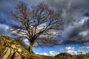 sky, Clouds, Hdr, Nature, Landscapes, Trees, Hill, Rock, Stone