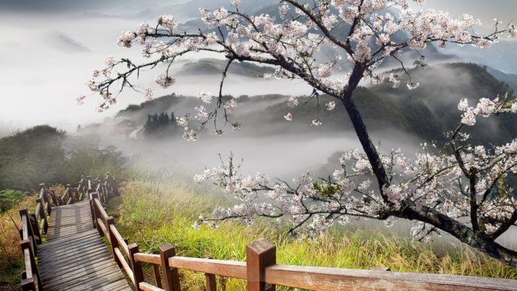 stairs, Nature, Landscapes, Mountains, Hills, Trees, Flowers, Blossoms, Architecture, Fog, Clouds HD Wallpaper Desktop Background