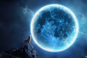 howling, Cg, Digtal, Art, Fantasy, Animals, Dogs, Wolves, Wolf, Landscapes, Night, Moonlight, Moon, Sky, Clouds, Magic, Mood