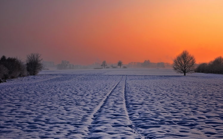 color, Nature, Landscapes, Fields, Trees, Winter, Snow, Sky, Sunset, Sunrise HD Wallpaper Desktop Background