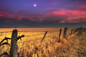 fence, Wires, Nature, Landscapes, Fields, Wheat, Grass, Pole, Rustic, Farm, Sky, Clouds, Sunset, Sunrise