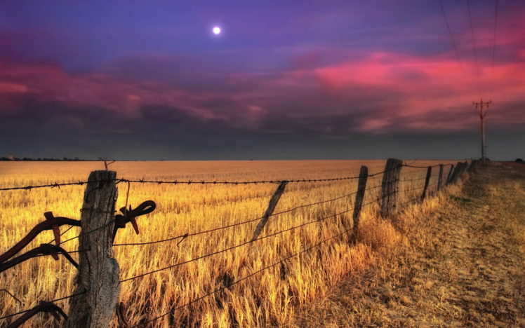 fence, Wires, Nature, Landscapes, Fields, Wheat, Grass, Pole, Rustic, Farm, Sky, Clouds, Sunset, Sunrise HD Wallpaper Desktop Background