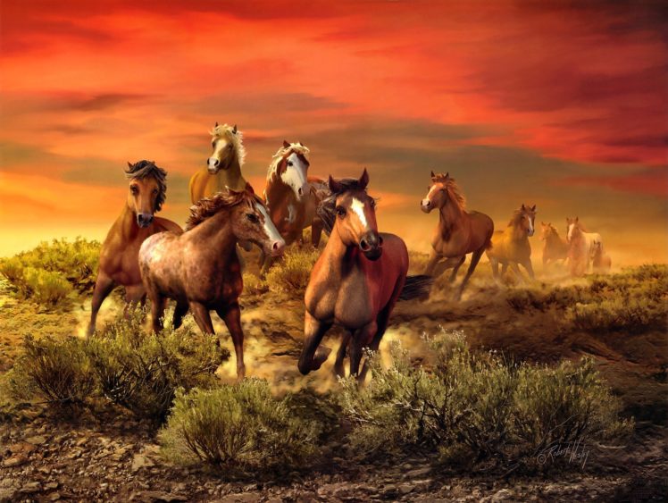 roberta, Wesley, Herd, Animals, Horses, Art, Nature, Landscapes, Sunset, Sunrise, Sky, Clouds HD Wallpaper Desktop Background