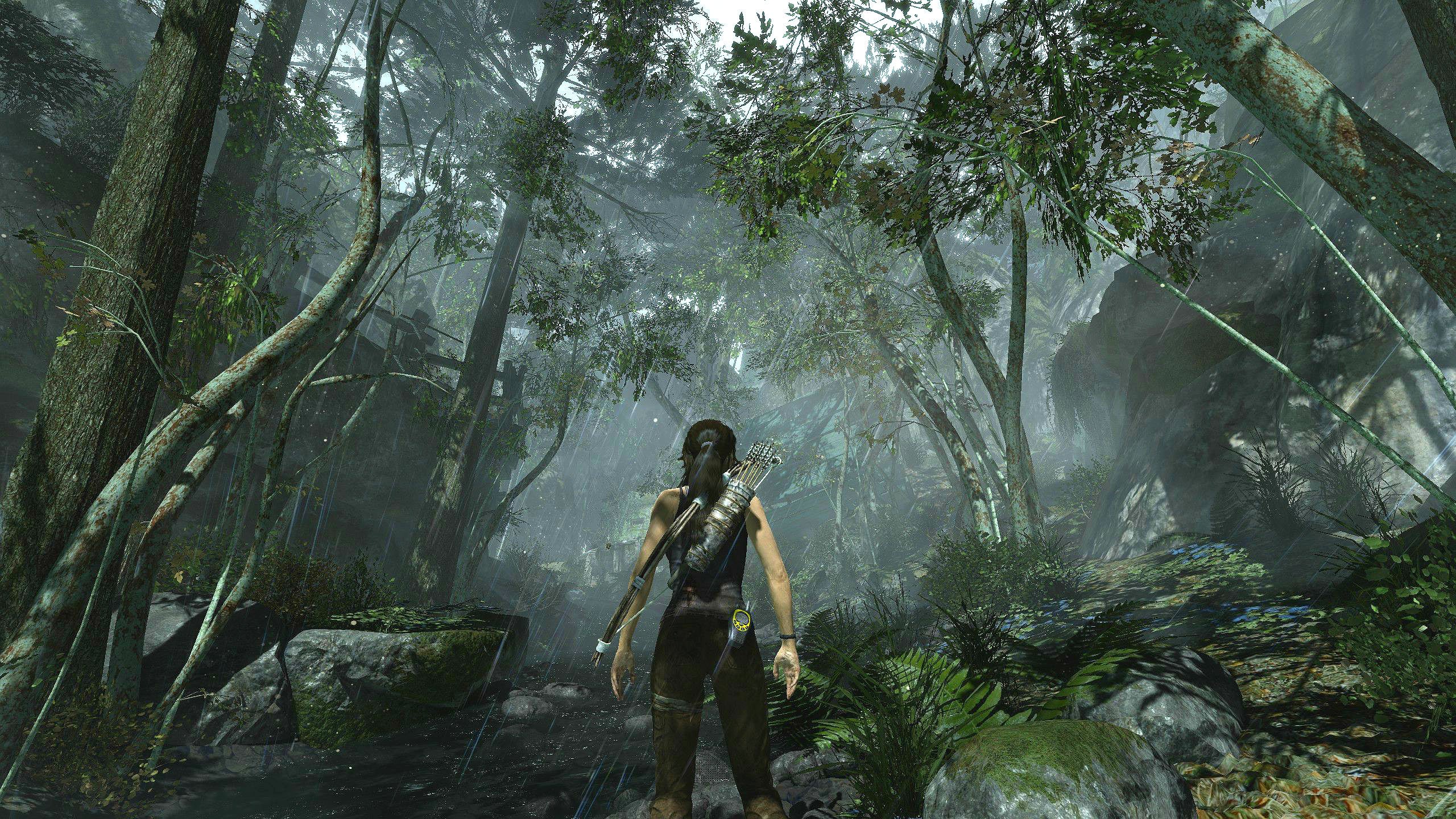 tomb, Raider, Action, Adventure, Lara, Croft, Fantasy Wallpaper