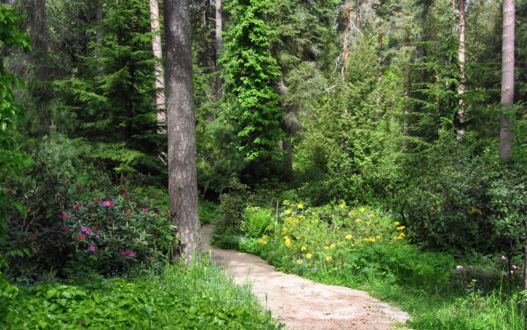path, Trail, Nature, Landscapes, Plants, Flowers, Bush, Trees, Forest, Woods, Garden, Sunlight HD Wallpaper Desktop Background