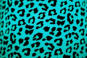 blue, Cheetah, Print