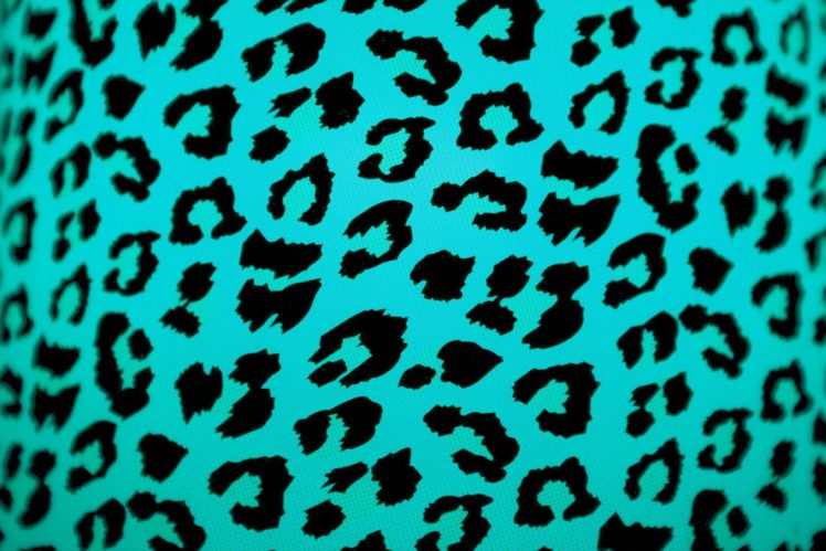 blue, Cheetah, Print HD Wallpaper Desktop Background
