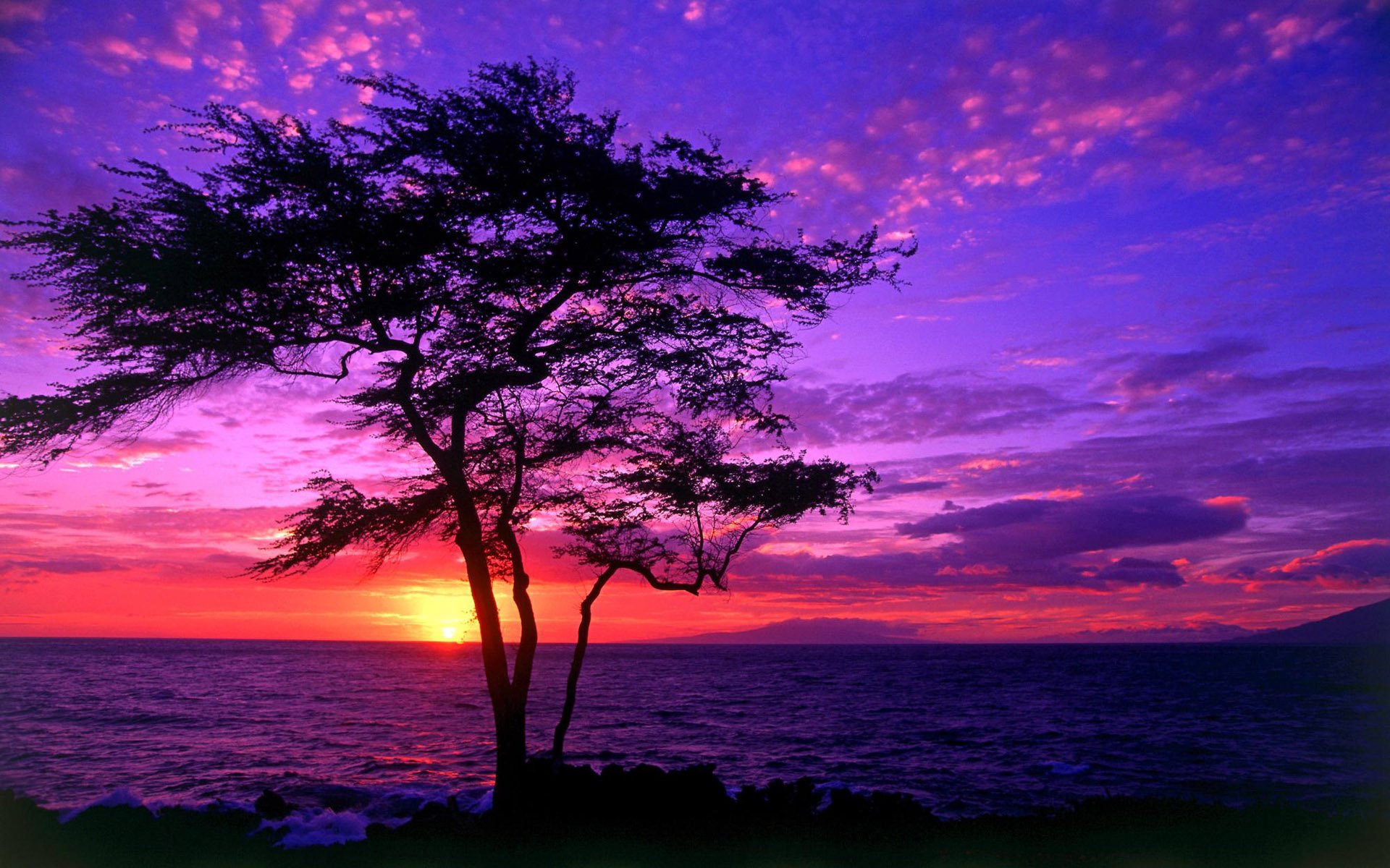 sunset Wallpaper
