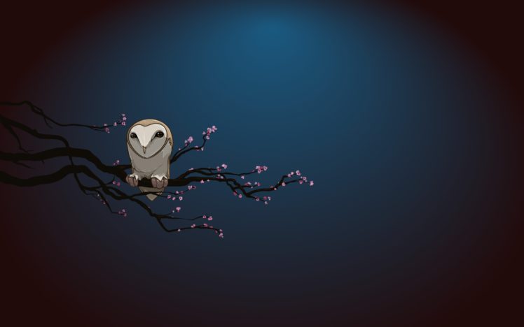owl, Alone HD Wallpaper Desktop Background