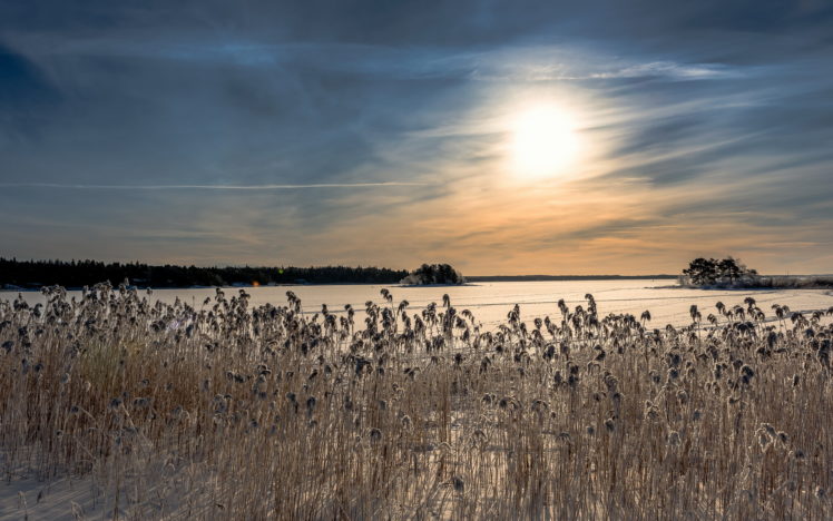 reeds, Nature, Landscapes, Lakes, Frozen, Ice, Sky, Clouds, Sunset, Sunrise, Winter HD Wallpaper Desktop Background