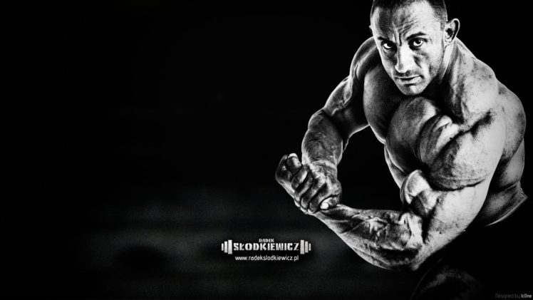 body building, Fitness, Muscle, Muscles, Weight, Lifting, Bodybuilding,  21 HD Wallpaper Desktop Background