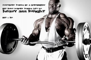 body building, Fitness, Muscle, Muscles, Weight, Lifting, Bodybuilding,  37