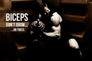 body building, Fitness, Muscle, Muscles, Weight, Lifting, Bodybuilding,  60