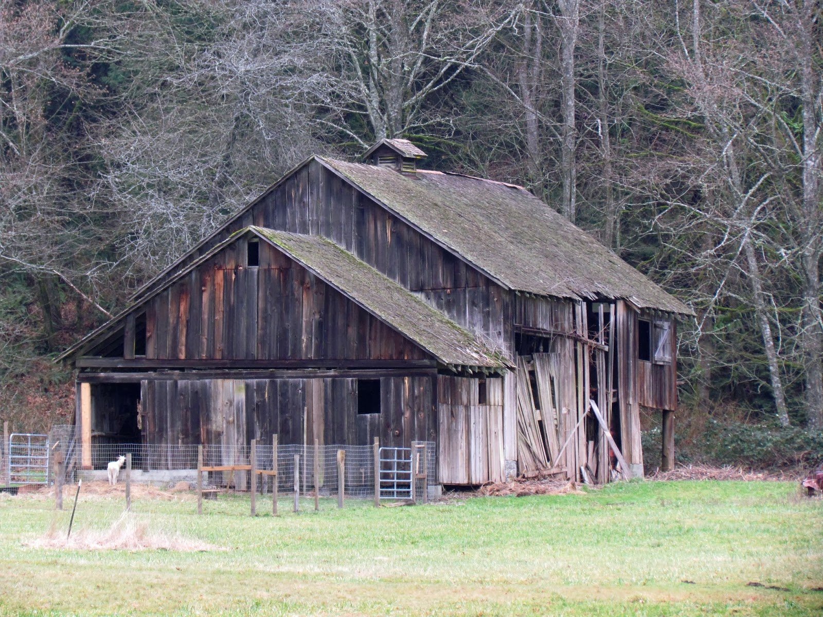 Остапова деревня ферма. Красный сарай. Сарай здание. Амбар 19 век англия. Красный сарай.