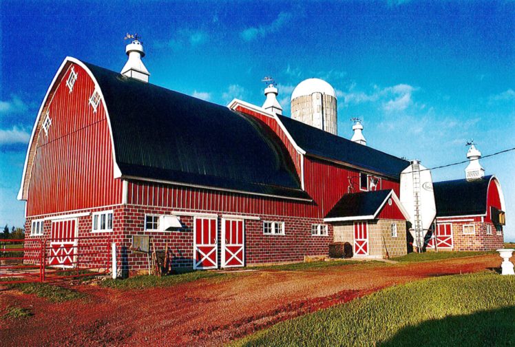 farms, Building, Rustic, Farm, Barn, Vintage,  82 HD Wallpaper Desktop Background