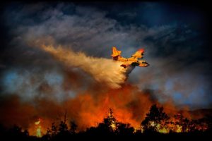 forest, Fire, Flames, Tree, Disaster, Apocalyptic,  33